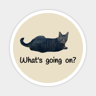 What’s Going On? (Kitty) Magnet